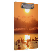 Zwemmen in het meer bij Sunset Klembord (Rechts)