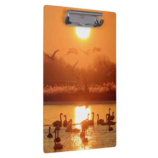 Zwemmen in het meer bij Sunset Klembord (Rechts)