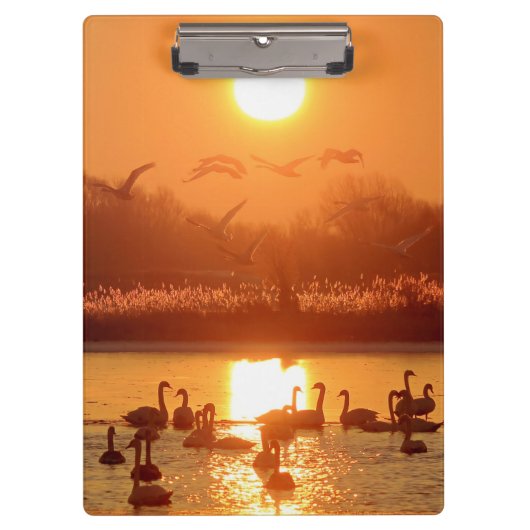 Zwemmen in het meer bij Sunset Klembord (Voorkant)