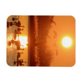 Zwemmen in het meer bij Sunset Magneet (Horizontaal)