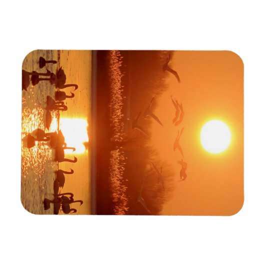 Zwemmen in het meer bij Sunset Magneet (Horizontaal)