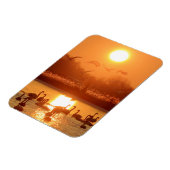 Zwemmen in het meer bij Sunset Magneet (Linkerzijde)