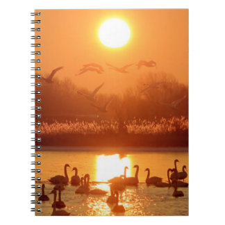 Zwemmen in het meer bij Sunset Notitieboek