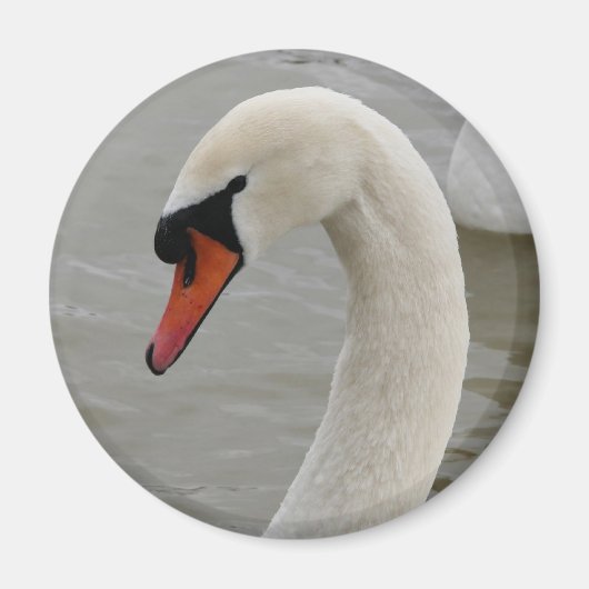 Zwemmen in het meer magneet (Voorkant)