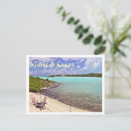 ZWEMMEN IN TURKS & CAICOS BRIEFKAART (Staand voorkant)