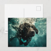 Zwemmen Labrador Puppy Onderwater Ontwerp Briefkaart (Voorkant / Achterkant)
