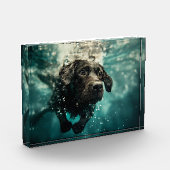 Zwemmen Labrador Puppy Onderwater Ontwerp Fotoblokken (Links)