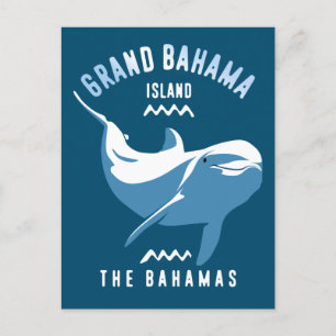 Zwemmen met Dolfijnen Grand Bahama Duiken Briefkaart