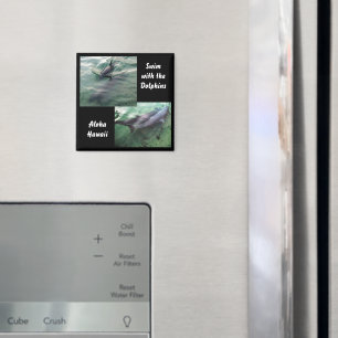 Zwemmen met Dolfijnen Hawaï Magneet