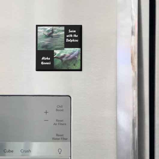 Zwemmen met Dolfijnen Hawaï Magneet (Insitu (Koelkast))