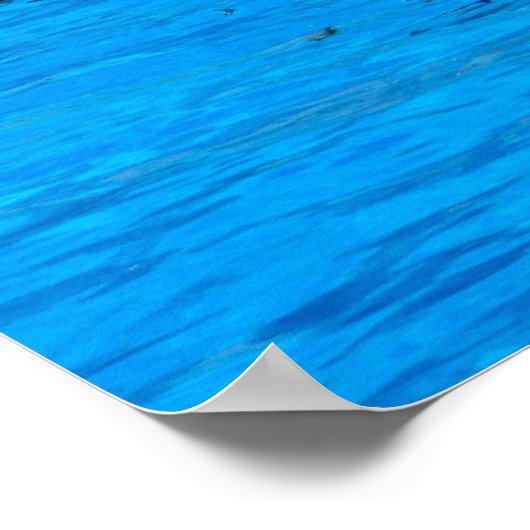 Zwemmen met dolfijnen in Spanje Poster (Hoek)