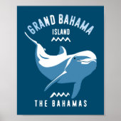 Zwemmen met Dolphins Grand Bahama Poster (Voorkant)
