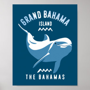 Zwemmen met Dolphins Grand Bahama Poster
