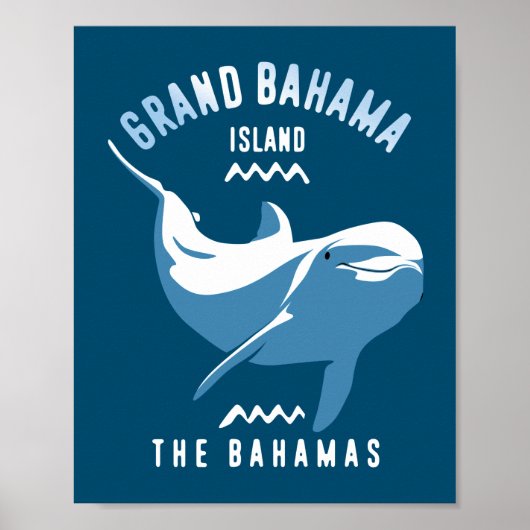 Zwemmen met Dolphins Grand Bahama Poster (Voorkant)