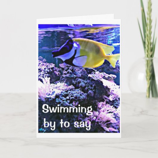 ZWEMMEN MET EEN *VERJAARDAGSGRAP* ALLEEN VOOR "JOU KAART (Voorkant)