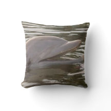 Zwemmen met het Dolfijnen Sierkussen