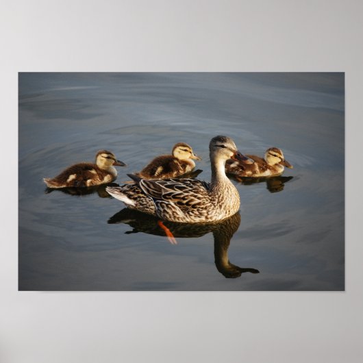 Zwemmen met mama poster (Voorkant)