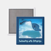 Zwemmen met Stralen SWRS1 Magneet (Voorkant / Achterkant)