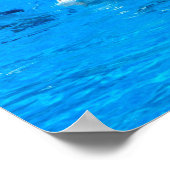 Zwemmen met vijf dolfijnen in Spanje Poster (Hoek)