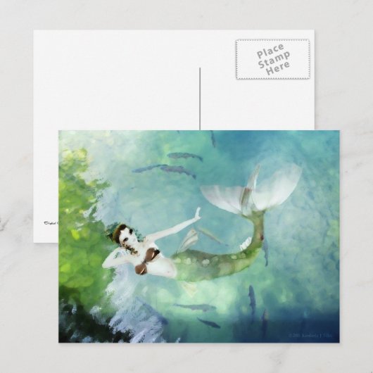 Zwemmen met zalm Briefkaart (Voorkant / Achterkant)