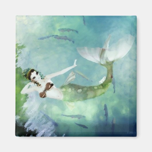 Zwemmen met Zalmnetten Magneet (Voorkant)