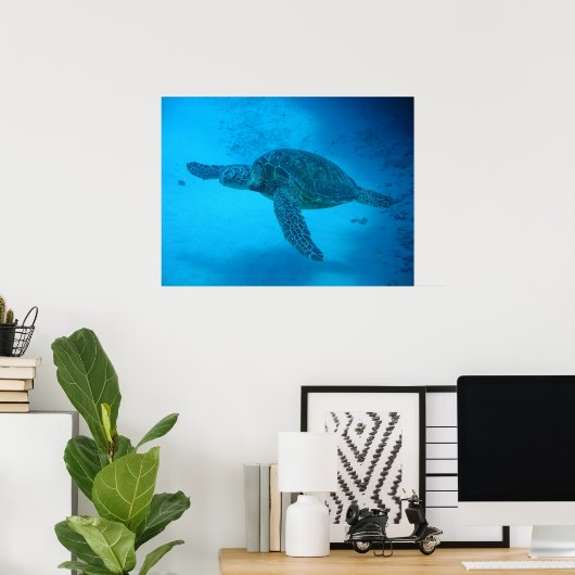 Zwemmen met zeeen schildpadden 4 poster (Thuiskantoor)