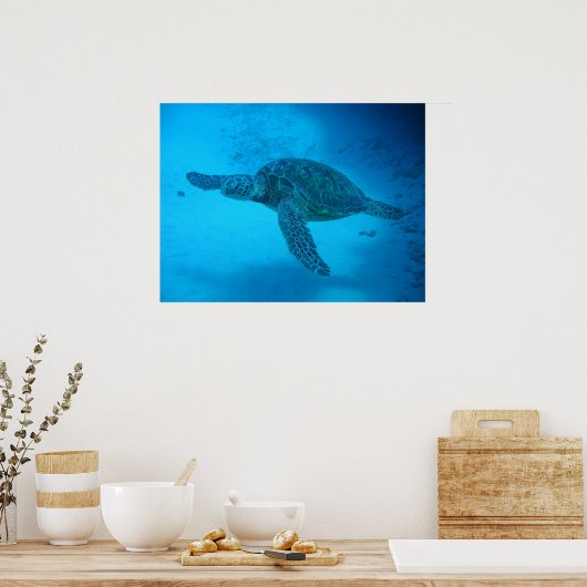 Zwemmen met zeeen schildpadden 4 poster (Keuken)