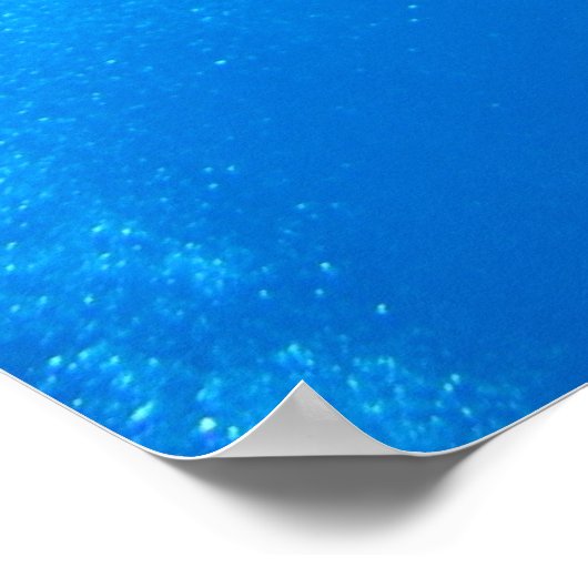 Zwemmen met zeeen schildpadden in Hawaï poster 1 (Hoek)