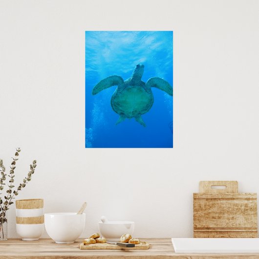 Zwemmen met zeeen schildpadden in Hawaï poster 1 (Keuken)