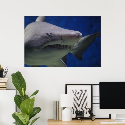 Zwemmen Natuur Muur Poster (Thuiskantoor)