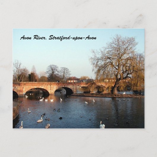 Zwemmen op de Avon-rivier, Stratford-upon-Avon Briefkaart (Voorkant)