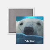 Zwemmen Polar Beer Arctic Wildlife Art Magnet (Voorkant / Achterkant)