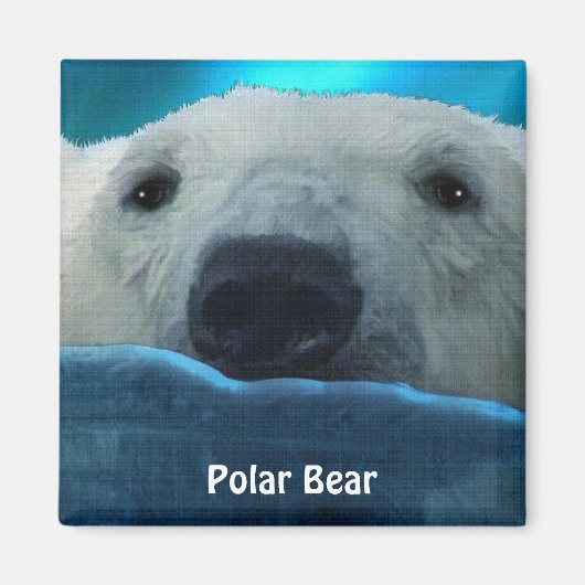 Zwemmen Polar Beer Arctic Wildlife Art Magnet (Voorkant)