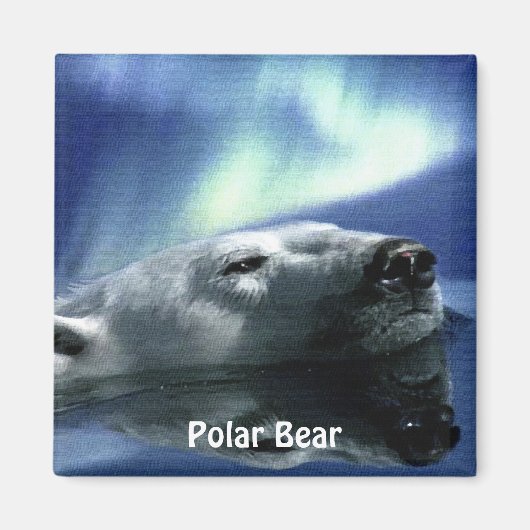 Zwemmen Polar Beer Arctic Wildlife Art Magnet (Voorkant)