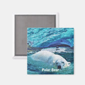 Zwemmen Polar Beer & Ice Wildlife Art Magnet (Voorkant / Achterkant)
