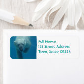 Zwemmen Polar Beer retouradres Mailinglabel Etiket (Insitu)