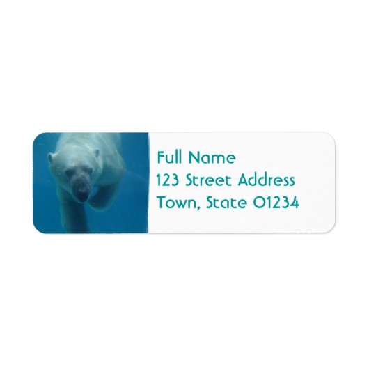 Zwemmen Polar Beer retouradres Mailinglabel Etiket (Voorkant)