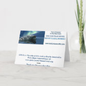 ZWEMMEN POLAR BEER WENSKAART FEESTDAGEN KAART (Achterkant)