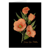 Zwemmen Roos Mallow Blank (Voorkant)