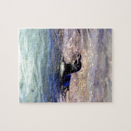 Zwemmen van de pinguïn Galapagos Legpuzzel (Horizontaal)