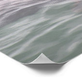 Zwemmen van de zeekuiken op de vismarkt Poster (Hoek)