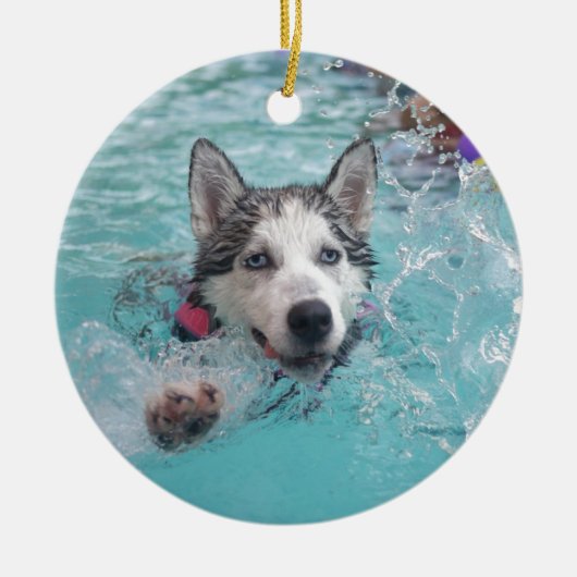 Zwemmen van honden in zwembad keramisch ornament (Voorkant)