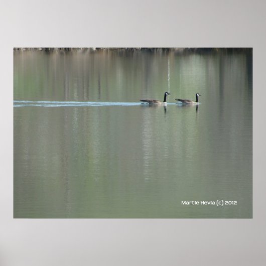 Zwemmen van liefde poster (Voorkant)