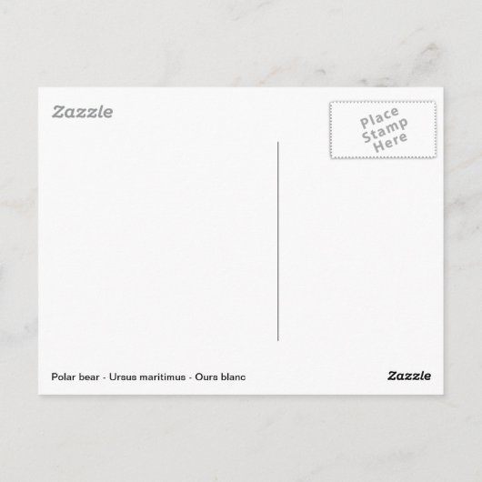 Zwemmen van poolbeer briefkaart (Achterkant)