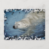 Zwemmen van poolbeer briefkaart (Voorkant)