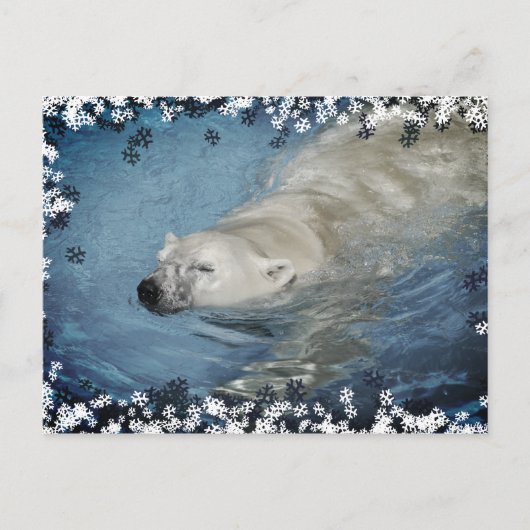 Zwemmen van poolbeer briefkaart (Voorkant)