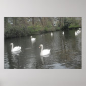 Zwemmen van posters (Voorkant)