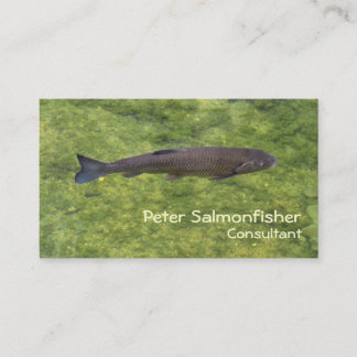 Zwemmen van riviervissen visitekaartje