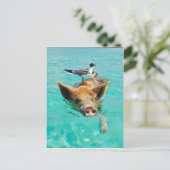 Zwemmen van varkens in water briefkaart (Staand voorkant)