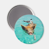 Zwemmen van varkens in water magneet (Voorkant / Achterkant)